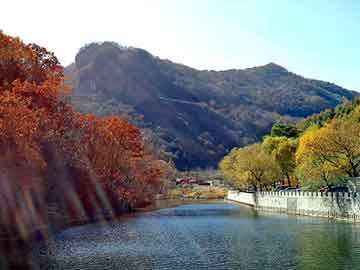 新澳门二四六天天开奖，北京到上海物流